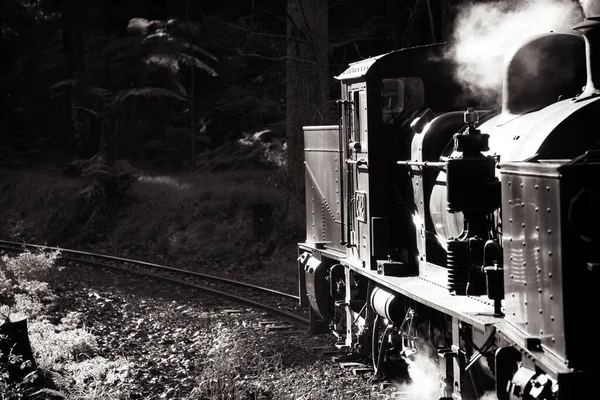 Puffing Billy Train in Melbourne Australië — Stockfoto