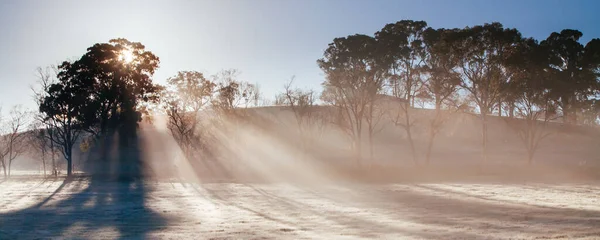 Vinhas de Inverno em Yarra Valley Austrália — Fotografia de Stock