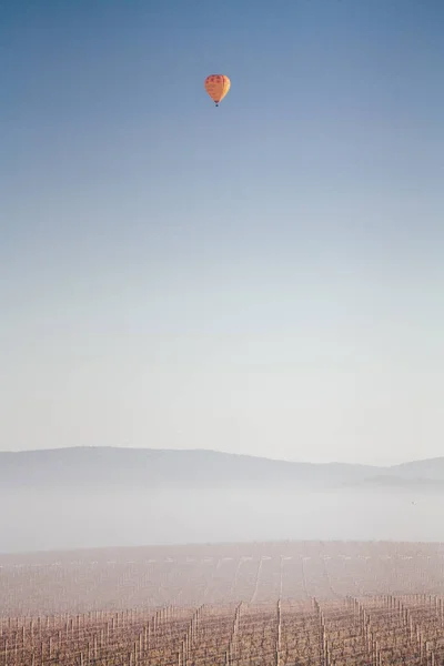 Yarra Vadisi Avustralya 'da kış sarmaşıkları — Stok fotoğraf