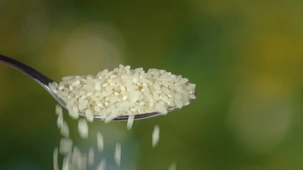 Arroz de grano que vierte de cuchara al aire libre — Vídeos de Stock