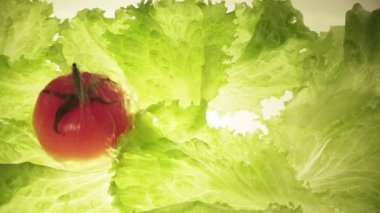 Suda ıslatın ve salata yaprakları üç ripe domates açılır