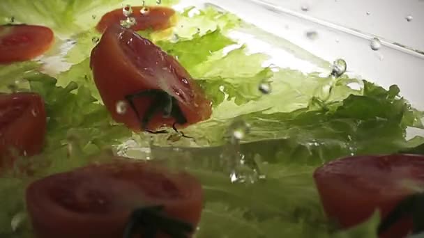 Tomate cair na água com salpicos — Vídeo de Stock