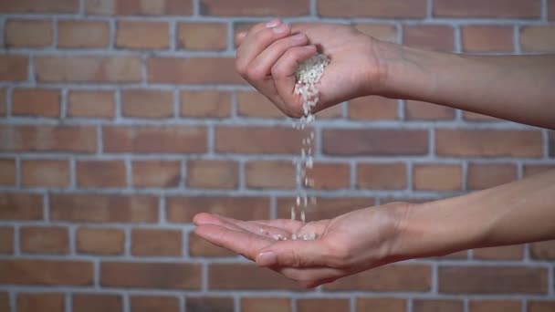 Girl pouring rice graind hand to hand, close-up slow motion video — Stock Video