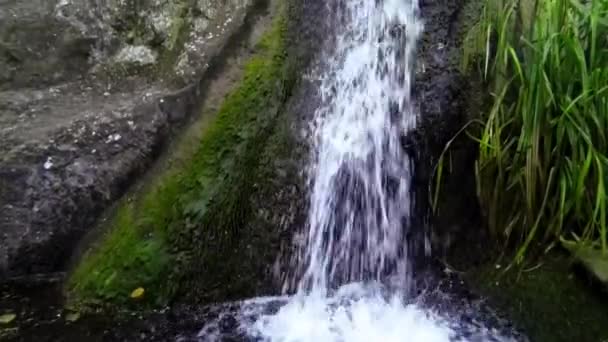 Медленное движение hd видео каскадной воды в парке Воронцова, Крым, Алупка — стоковое видео