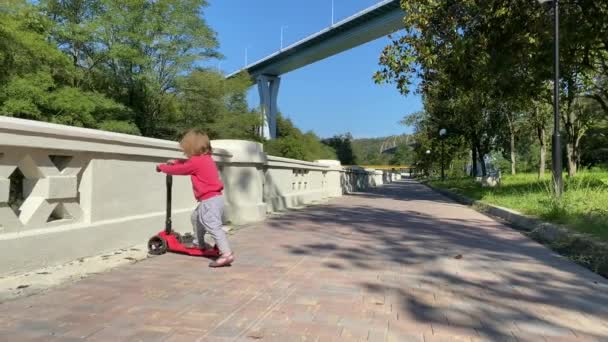 Menina pequena bonito em andar de scooter no parque da cidade . — Vídeo de Stock