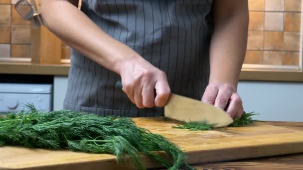 Chica está cortando el hinojo con un cuchillo para las comidas en la cocina — Vídeos de Stock