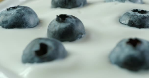 Yogurt with fresh ripe blueberry, close up — ストック動画