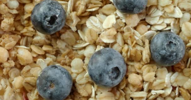 Healthy breakfast - flakes with fresh ripe blueberry — Stock Video