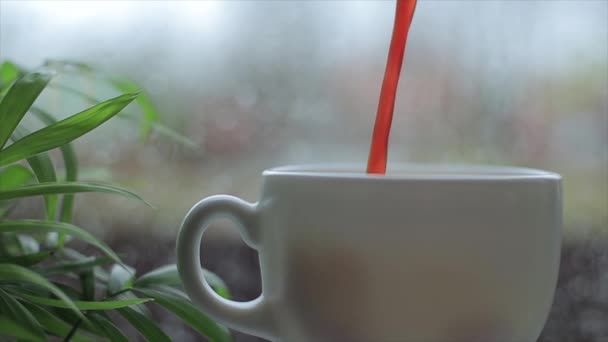 Налить горячий кофе в белой чашке возле окна — стоковое видео