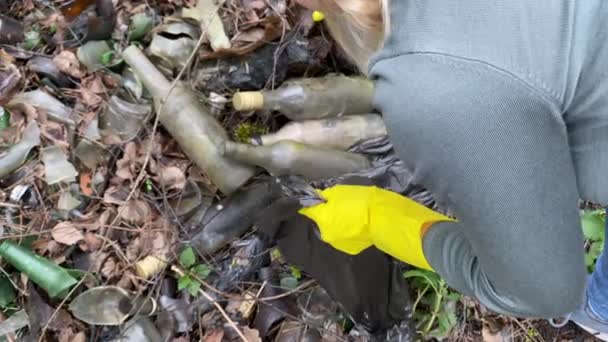 Vrouw vrijwilliger ophalen glazen flessen in plastic zak in het bos — Stockvideo