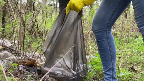 Vrouw vrijwilliger ophalen glazen flessen in plastic zak in het bos — Stockvideo