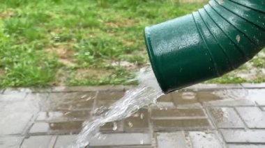 Genç kadın evde kilo vermeye çalışıyor. Uzaktan eğitim