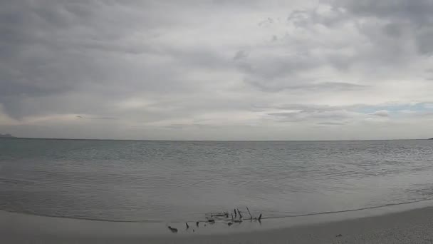 Suggestive Time Lapse Sea Almost Flat Cloudy Gray Sky Flat — Stock Video