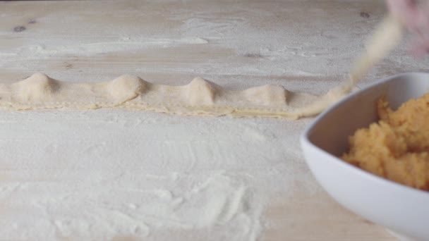 Närbild Process Gör Ravioli Vegan Hemlagad Pasta Hemmafru Kock Skära — Stockvideo