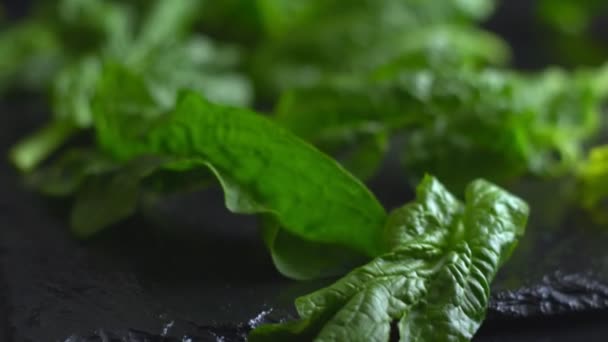 Healthy Vegan Food Concept Close Backlight Freshly Picked Green Spinach — Stock videók