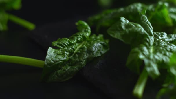 Концепція Здорової Вегетаріанської Їжі Крупним Планом Підсвічування Зеленого Листя Шпинату — стокове відео