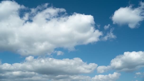 青い空に向かって左から右に流れる白いふわふわの積雲のUhdタイムラプス — ストック動画