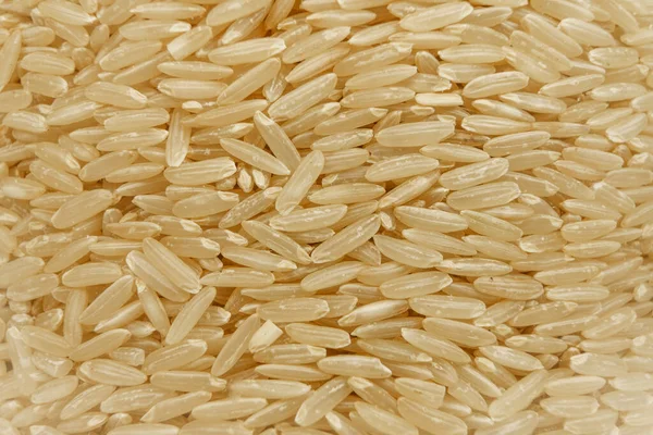 채식의 주제로 돌아가 봅시다 매크로 유리병에 쌀알을 가까이 바라본 — 스톡 사진