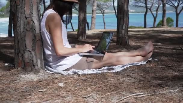 Женщина Печатающая Ноутбуке Сидящая Сосновом Лесу Возле Морского Пляжа — стоковое видео