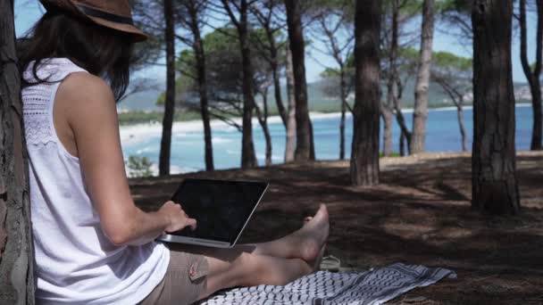 Mulher Digitando Laptop Trabalhando Fora Sentado Uma Floresta Pinheiros Perto — Vídeo de Stock
