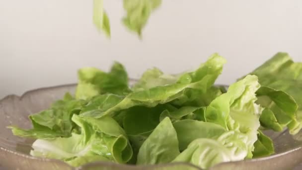 Lento Movimiento Hojas Ensalada Lechuga Fresca Cayendo Tazón Vidrio — Vídeos de Stock