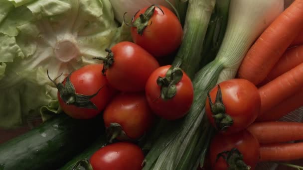 Slow Motion Close Vegetable Salads Fresh Ingredients Sliding Footage Technique — Stock Video