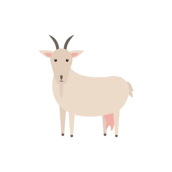 Illustrazione piatta vettoriale caprina isolata su sfondo bianco. Animali domestici. Fattoria animale capra personaggio cartone animato . — Vettoriale Stock