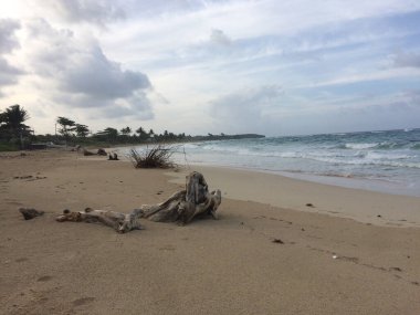 Jamaika 'daki Long Beach' in güzel manzarası