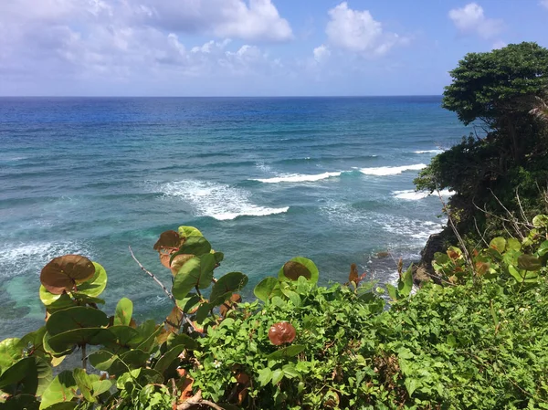 Prachtig uitzicht op de kust van Jamaica — Stockfoto