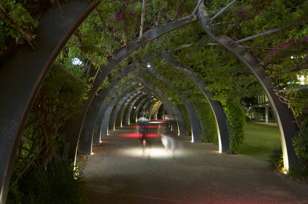 South Banks Grand Arbour Gecesi