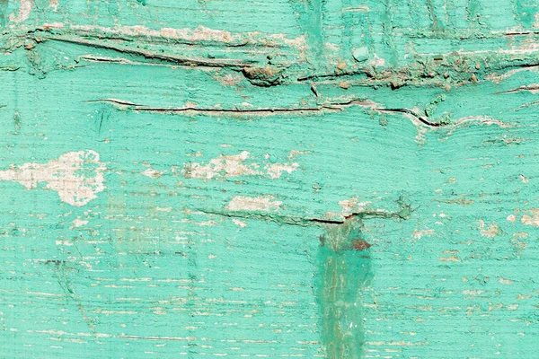 Groene hout van graan en knopen detail closeup — Stockfoto
