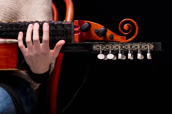 Nyckelharpa 's scroll, headstock und wirbelbox details — Stockfoto