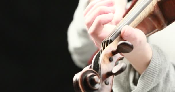 古典音乐家演奏巴洛克式的小提琴在黑色背景 手特写活动概念 — 图库视频影像