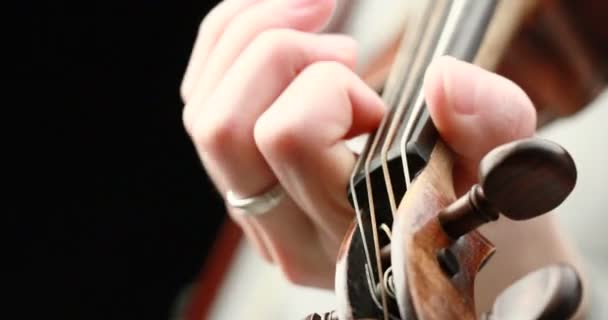 Classical Musician Playing Baroque Violin Black Background Hands Closeup Live — Stock Video