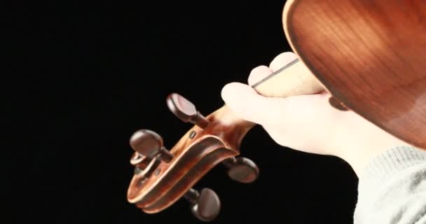 Klassisk Musiker Spelar Barock Violin Svart Bakgrund Händer Närbild Live — Stockvideo