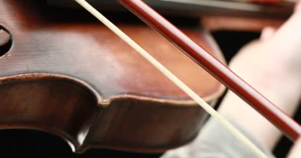 Classical Musician Playing Baroque Violin Black Background Hands Closeup Live — Stock Video