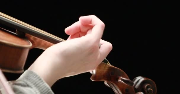 Klassisk Musiker Spelar Barock Violin Svart Bakgrund Händer Närbild Live — Stockvideo