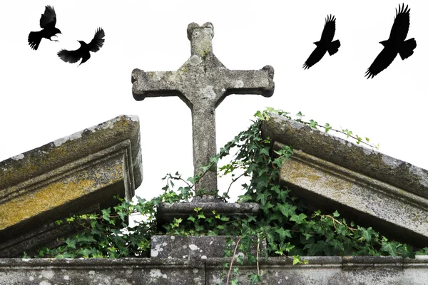 Надгробия на кладбище с крестом — стоковое фото