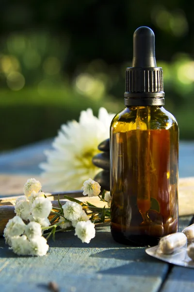 Natural cosmetics and massage oil — Stock Photo, Image
