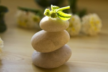  Spa kavramı, zen taşlar