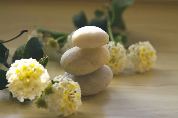 Spa concept, zen stones — Stock Photo, Image