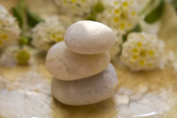 Concept spa, pierres zen — Photo