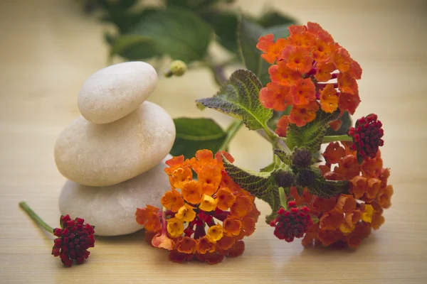 Spa concept, zen stones — Stock Photo, Image