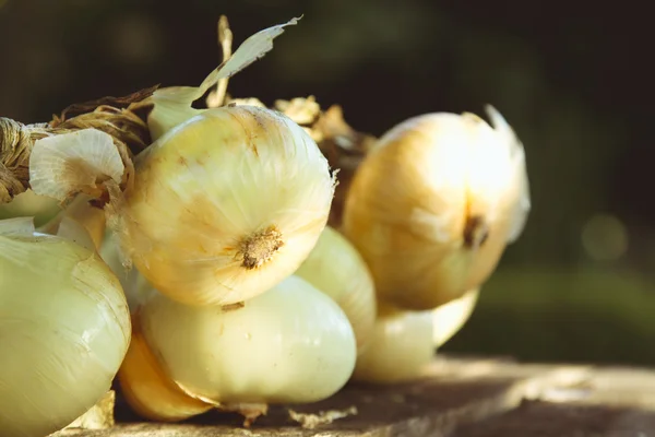 Tasty onions on wooden — Stock Photo, Image