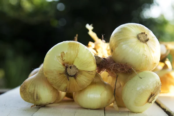 Tasty onions on wooden — Stock Photo, Image