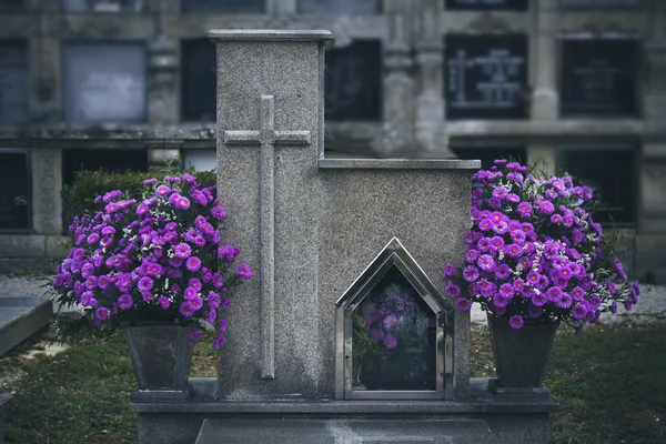 Květiny na hřbitově — Stock fotografie