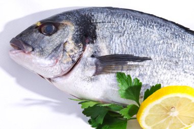 Balık, altın beyaz izole