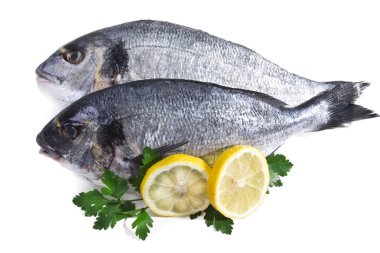 Maydanoz ve limon ile izole altın balık,
