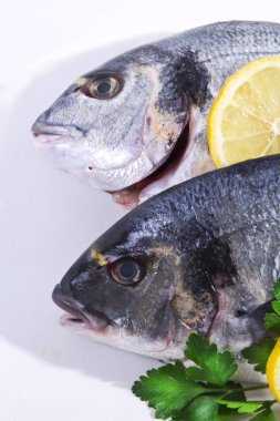 Maydanoz ve limon ile izole altın balık,