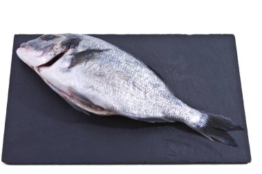 Balık, dal üzerinde mavi ahşap arka plan tahtaya